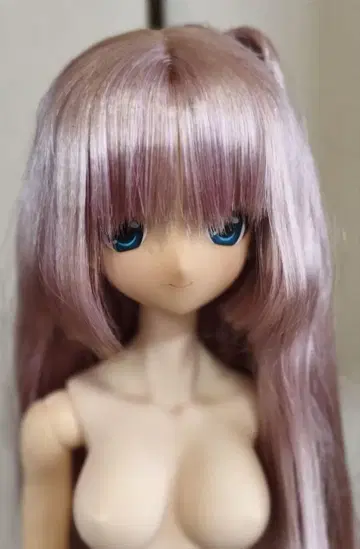 아존 블랙 레이븐, 릴리아 바디 하자 있음