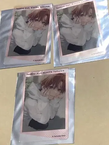 타이시로군 너라는 녀석 애니카페 에비하라 클리어 카드 3장