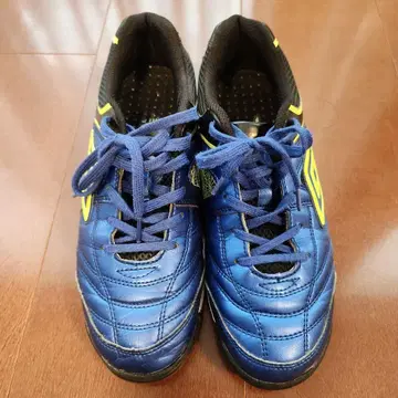 Umbro 풋살화 파랑