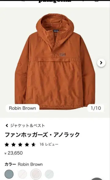 Patagonia 팬호거스 아노락