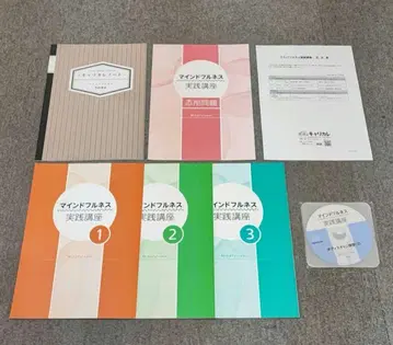 마인드풀니스 실천 강좌 [새상품급] 자격요건 캐리카레