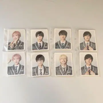 팬더 드래곤 증명사진