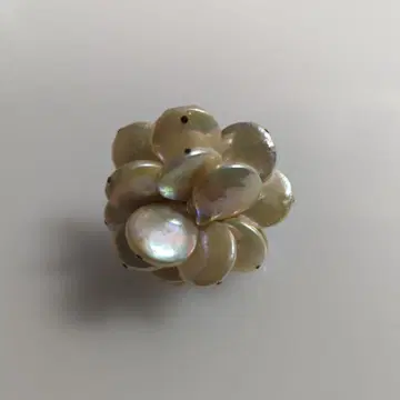마더포렌 반지 쉘