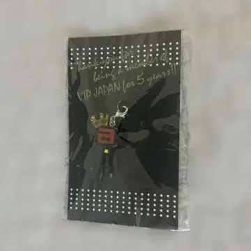 VIP JAPAN VIP 한정판 BIGBANG 미니 응원봉 키링