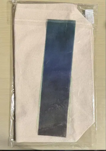 이토 소토미 씨 하뉴 유즈루 선수 토트백 호프 & 레거시