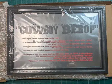 COWBOY BEBOP 카우보이 비밥 파브 거울
