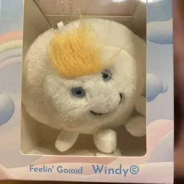 후지이 카제 Feelin' Go(o)d windy 윈디 봉제 인형 새상품