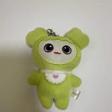 TWICE 정연 정블리(정현) 봉제 인형