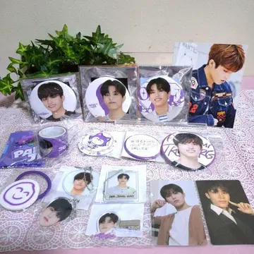 TREASURE 정우 세트 미사용 새상품 익명 배송