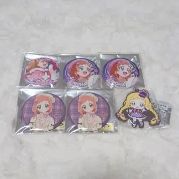 원더풀 프리큐어! 이누카이 이로하 캔뱃지