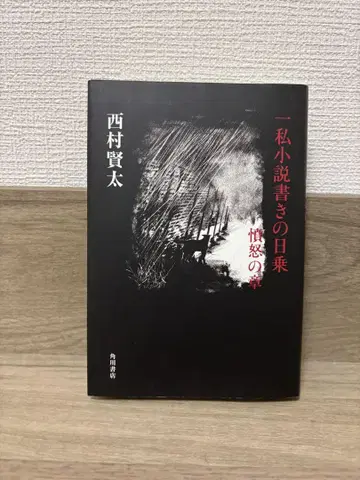 나의 소설가 일기 분노의 장