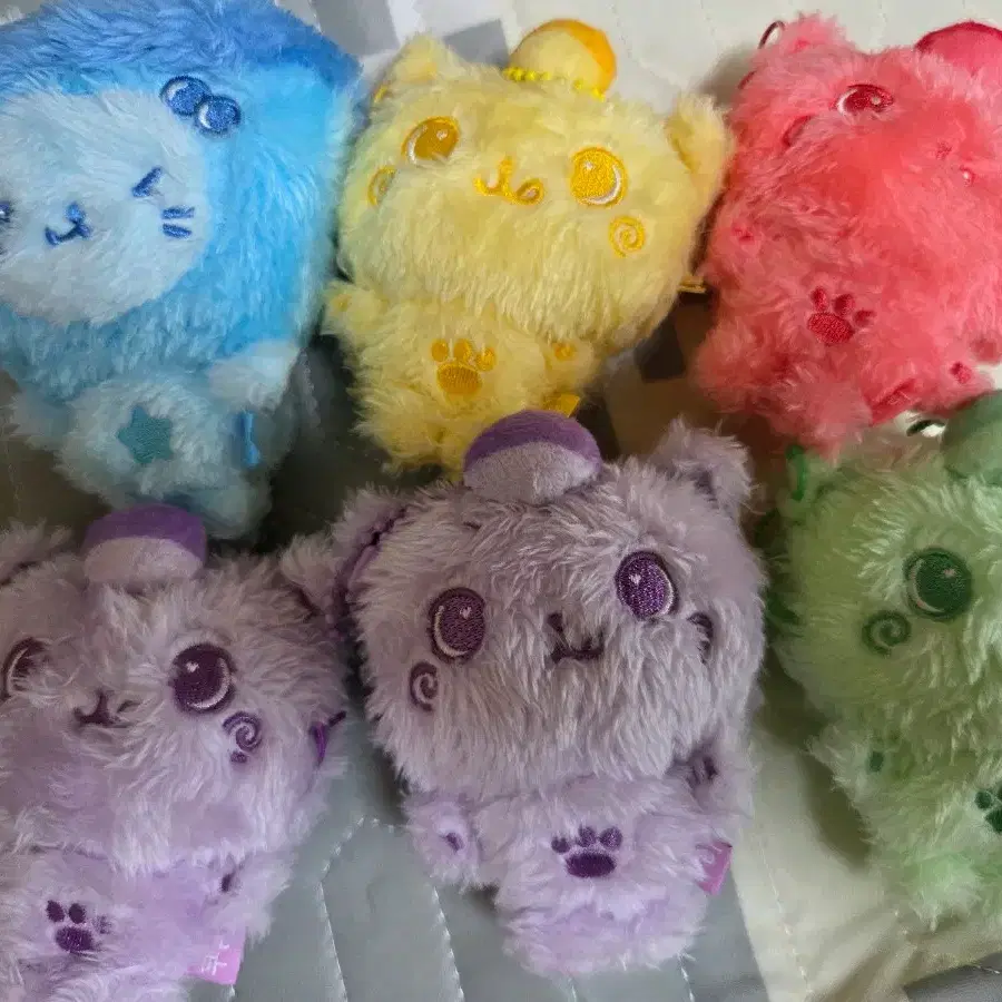 ユウシ NCT WISH COLOR DOLL バブルニャン 7種 コンプリート NCT WISH