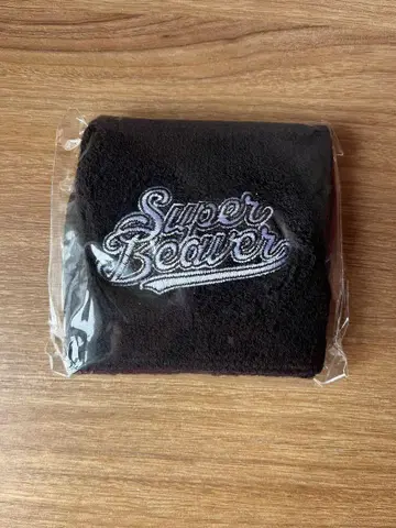 SUPER BEAVER 리스트 밴드