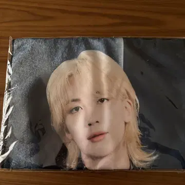 SEVENTEEN (공식) BIG PHOTO 타월 정한