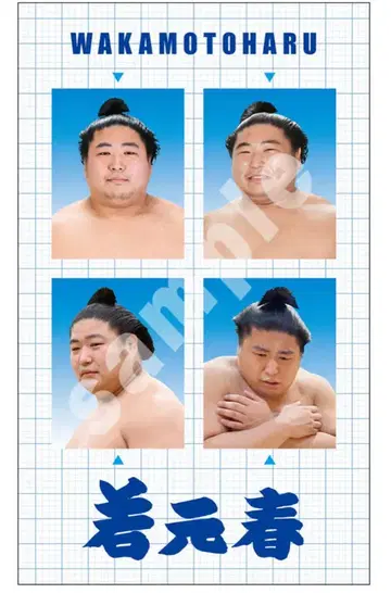 스모 증명사진풍 스티커 와카모토하루
