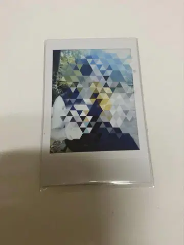 오타니 마코토 와카마치 폴라로이드