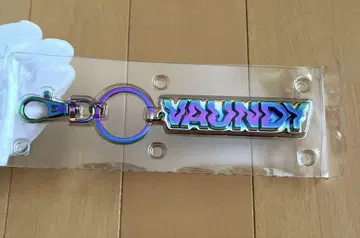 바운디 vaundy 오로라 로고 키체인
