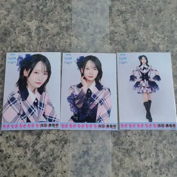 나리타 히나 랜덤 브로마이드 오사카 공연 회장 한정판 그림체 AKB48