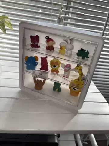 타베코 동물+곰 케이스 포함
