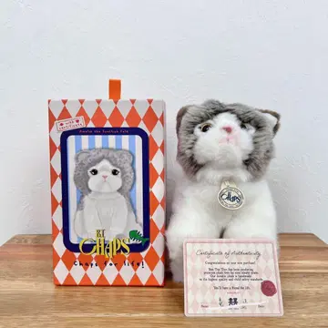 BON TON TOYS 고양이 봉제 인형 스코티시 폴드