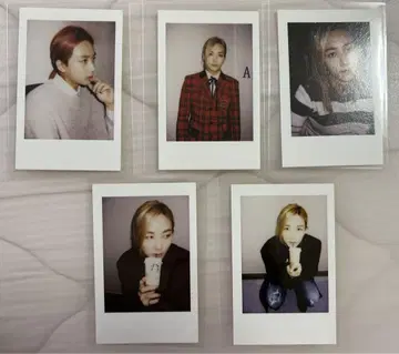 SEVENTEEN 정한 폴라로이드