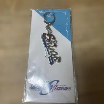 건담 SEED FREEDOM THE EXPERIENCE 신 아스카