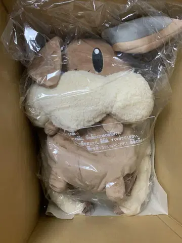 이브이 백팩