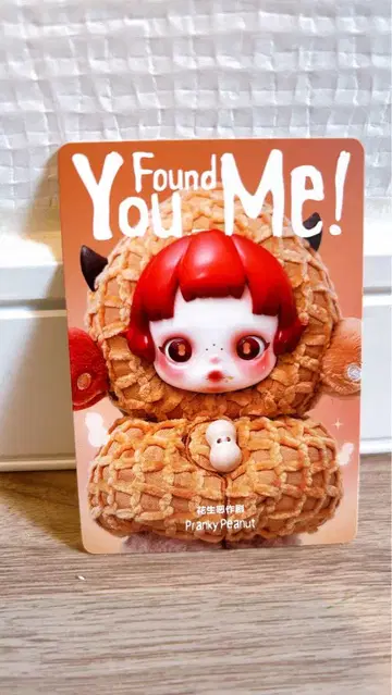 SKULLPANDA Found You Me! 스컬팬더 와플
