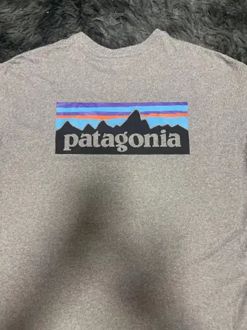 Patagonia 파타고니아 로고 상의 티셔츠 남성용 아웃도어