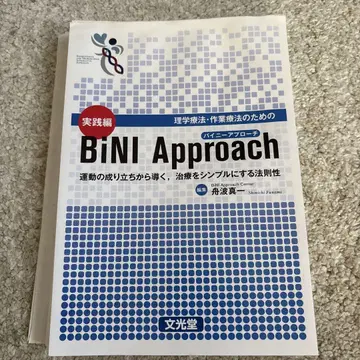BiNI Approach