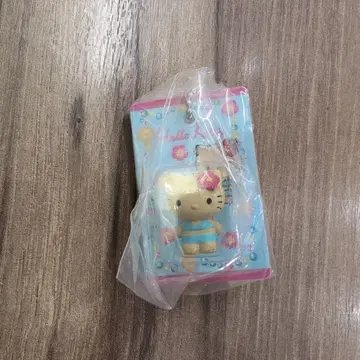일광화상 키티