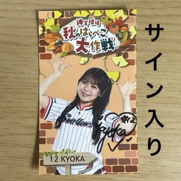 12 KYOKA 사인 포함 스티커 야쿠르트 스왈로스 Passion
