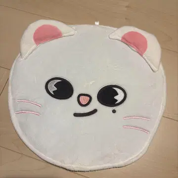 straykids 부채 커버 현진