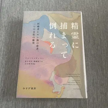 정령에게 붙잡혀 쓰러지다: 의료자와 몽족 환자, 두 문화의 충돌