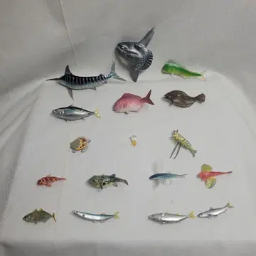 물고기 피규어 세트 수납 박스 포함