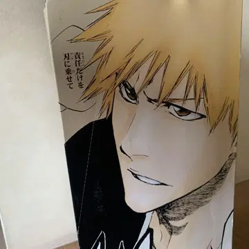 BLEACH 명장면 포스터 컴플리트 세트