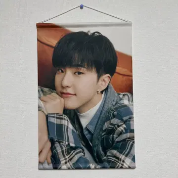 seventeen 세부치 HOME 트레이딩 카드 호시 태피스트리