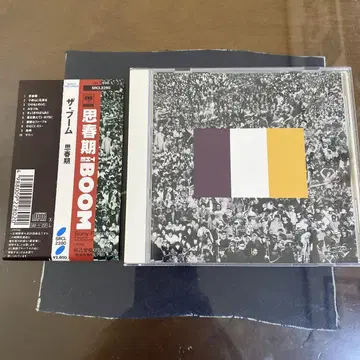 사춘기