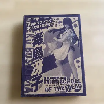 HIGH SCHOOL OF THE DEAD 피규어 부지마 사에코