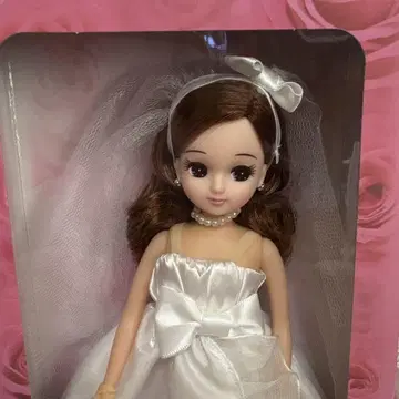 리카짱 Happy Wedding 리카짱 전보