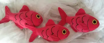 봉제 인형 복권 해피 마린 금눈돔 수족관 cute 3마리 세트