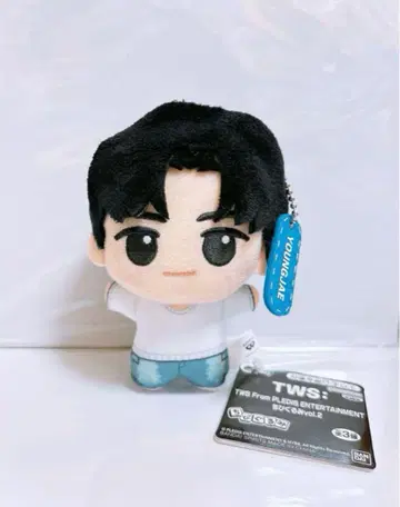 TWS 투어스 SD 인형 YOUNGJAE 영재
