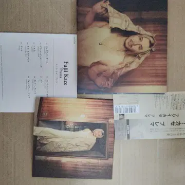 Prema 후지이 카제 일반ver