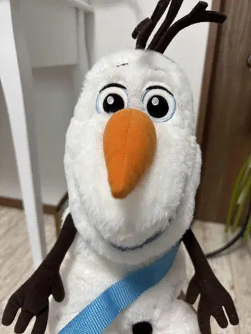 올라프의 냅색