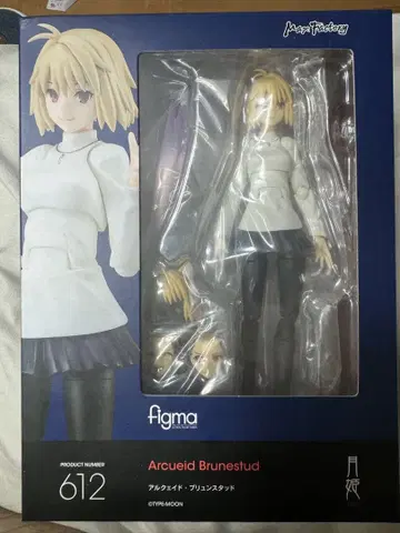 figma 아르쿠에이드 브륜스터드 월희