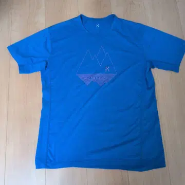 HAGLOFS 파랑 T셔츠 S사이즈