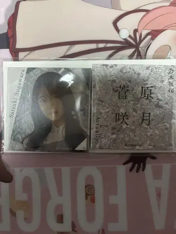 Actually - 스퀘어 캔뱃지 스가와라 사츠키