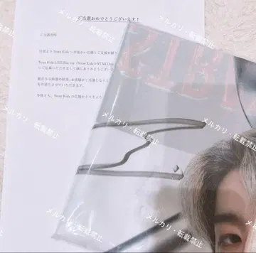 straykids 한 친필 사인 플래그