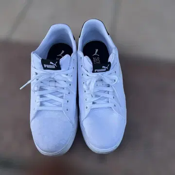 PUMA 화이트 스웨이드 스니커즈