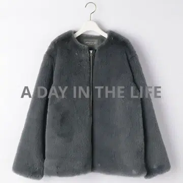 A DAY IN THE LIFE 인조 모피 블루종